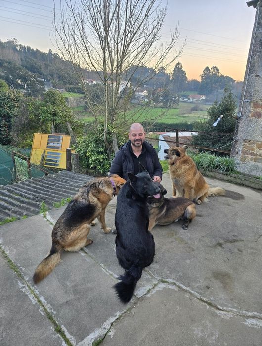 Treinador/adestrador de cães grande  porto