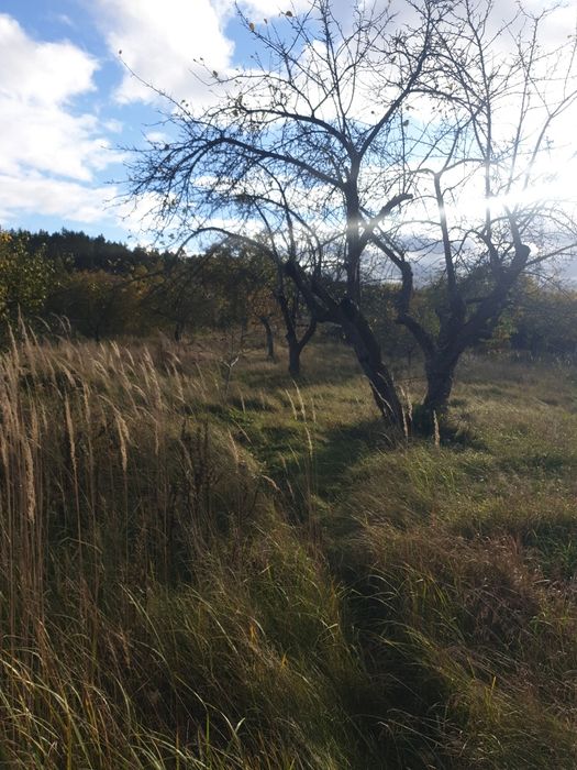 Продаж. Будинок, 35 сот зем.ділянка, с. Зарічани