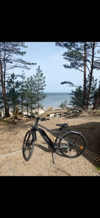 Rower Elektryczny Riverside 500 e