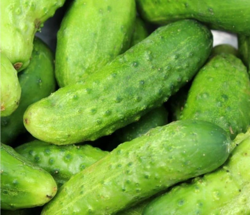 Sprzedam ogórki,różne