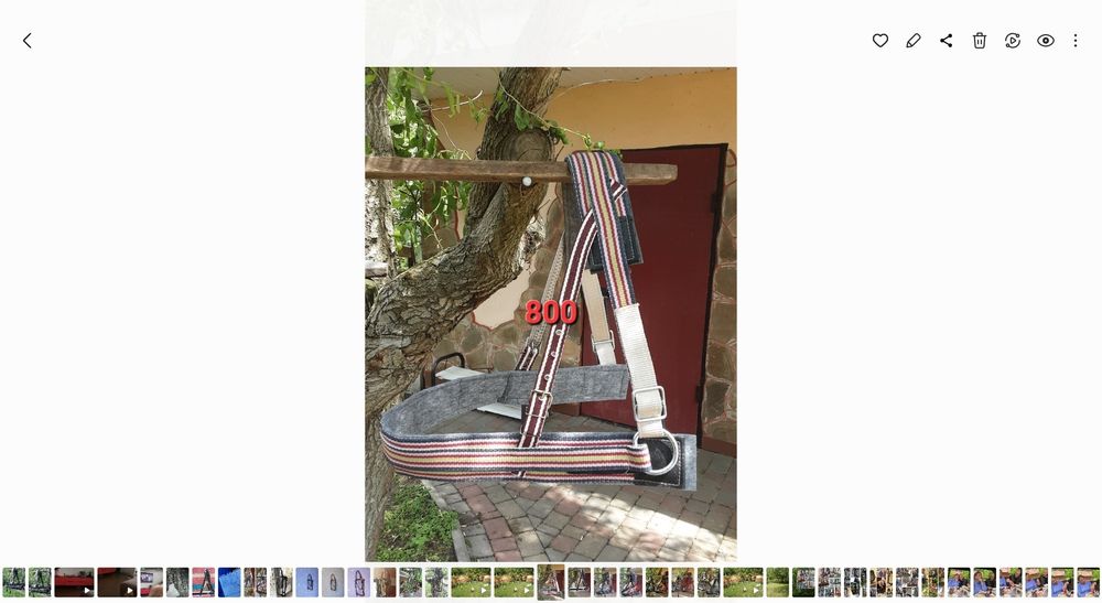 Шлея для коника ,коня ,поні