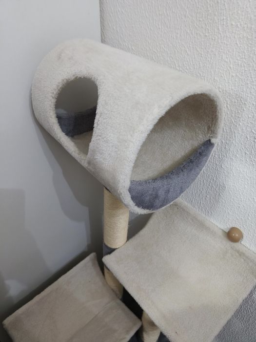 Arranhador gatos