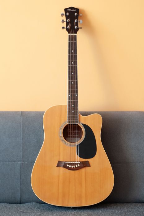 Gitara Akustyczna T.Burton + Sztywny futerał