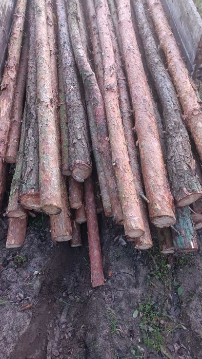 Stemple sosnowe 3,5m