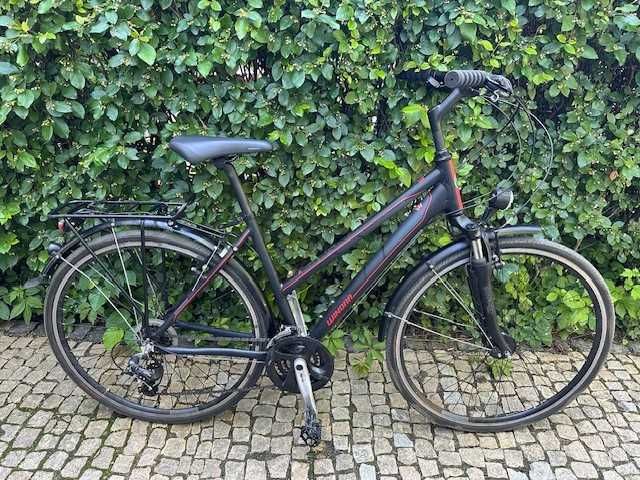 Rower Winora Santiago