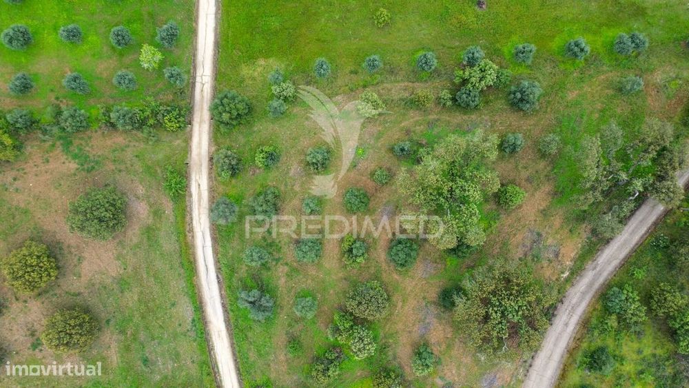 Terreno Rústico de 5 Hectares à Venda ,Alandroal