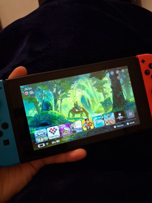 Switch desbloqueado por software