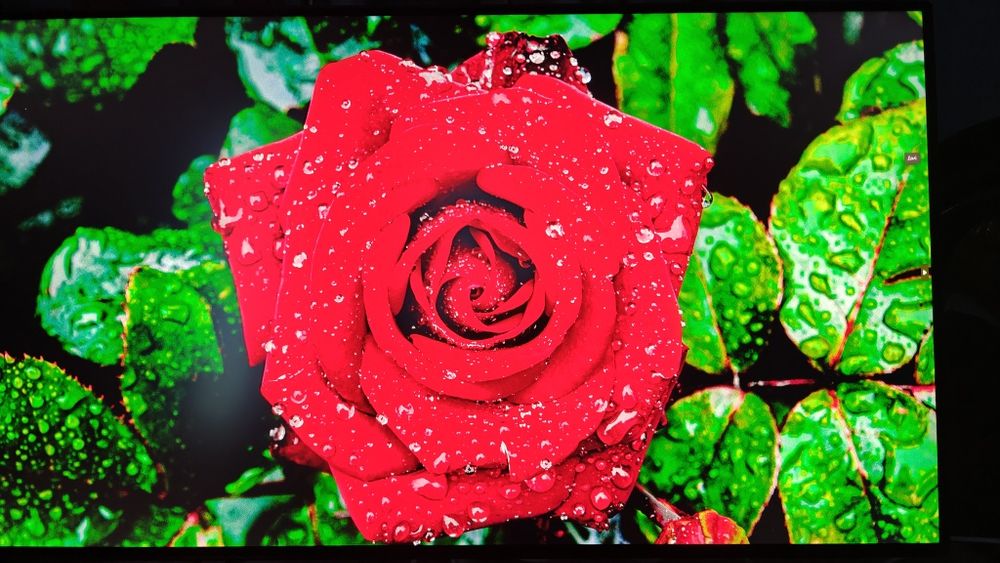 Топовий LG 32UL950-W для професіоналів, Nano IPS 10 bit з DCI-P3 98%