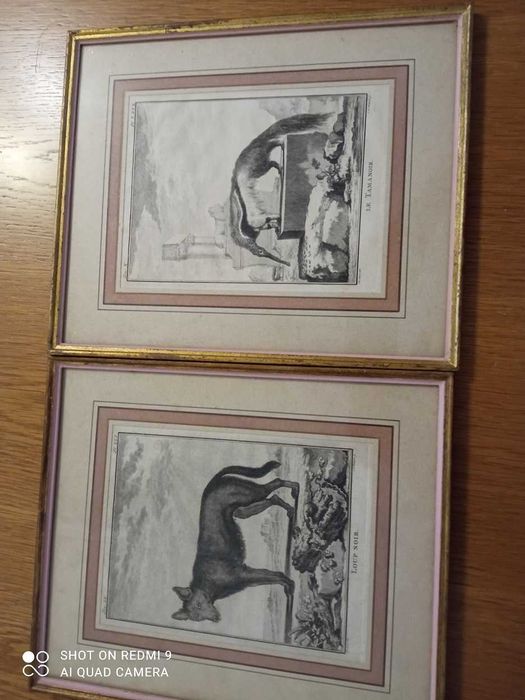 Antigas.gravuras.