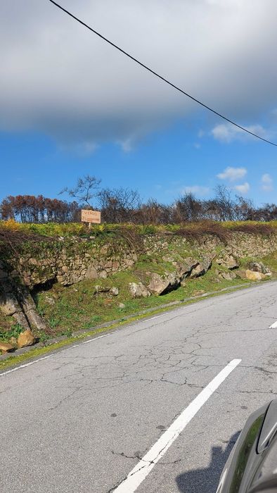 Terreno agricola