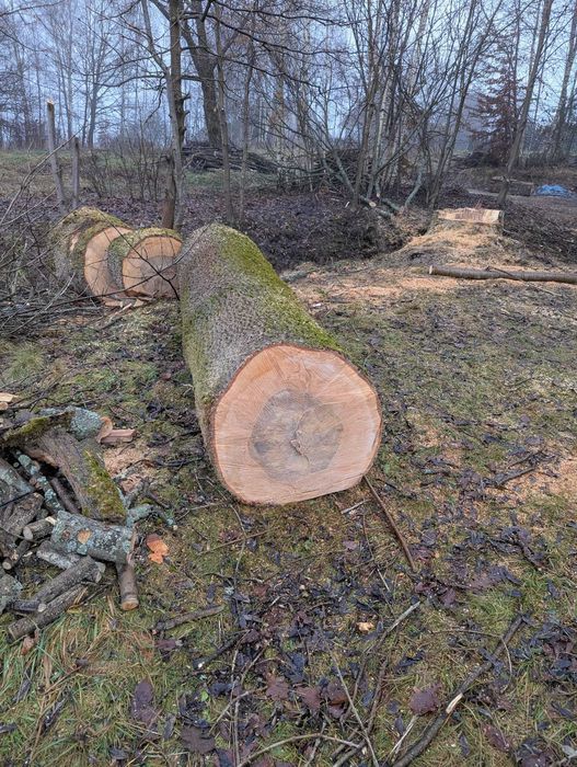 Jesion 330cm X 67cm = 1,163m3 To że Bardzo ładny widać