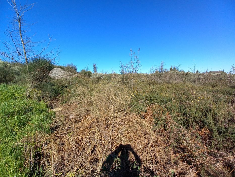 Terreno Rustico - 2.5 hectares - Travanca de Lagos