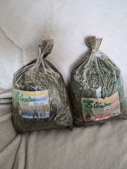 Jedzenie dla świnki morskiej