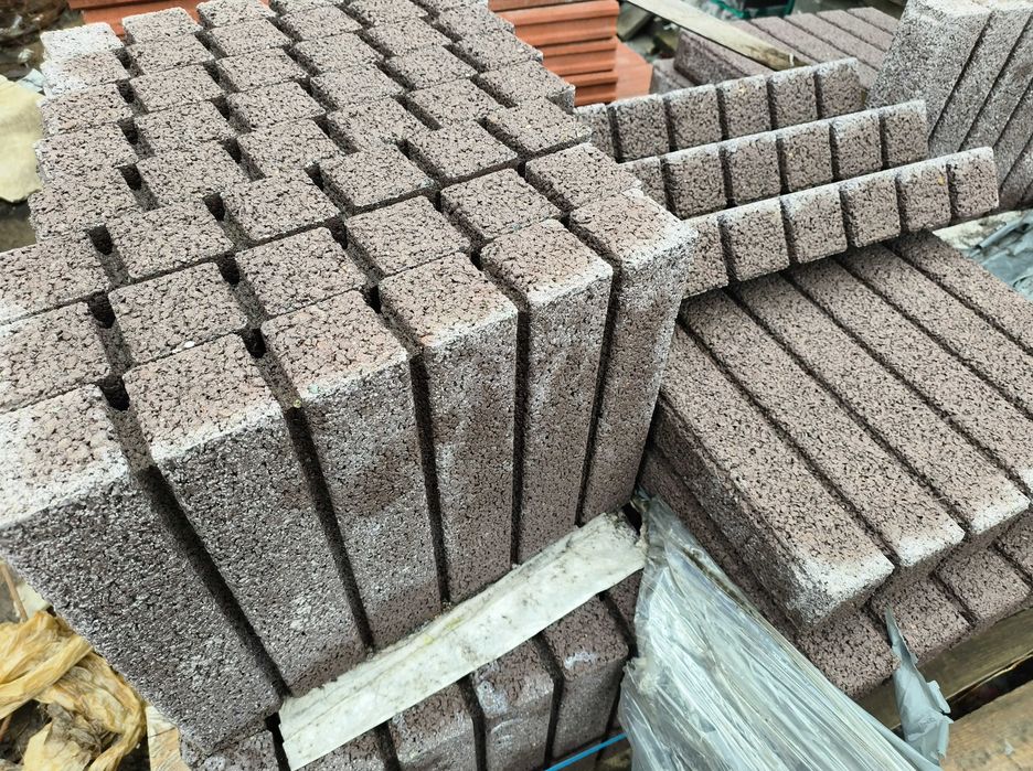 Palisada Forta Betard II Gatunek