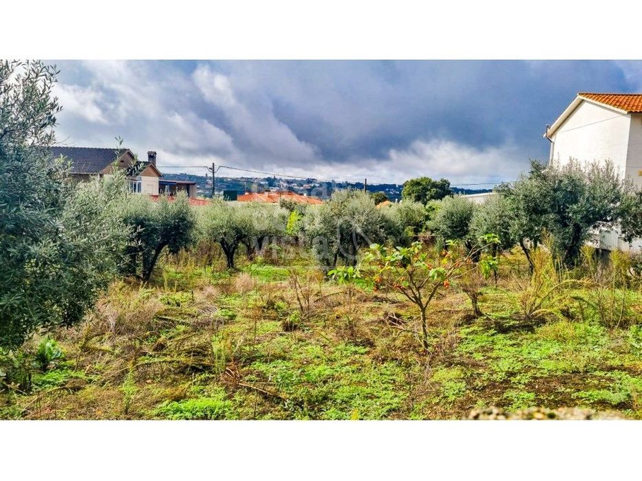 Terreno com Viabilidade de Construção - 456 m² | Próximo de Leiria