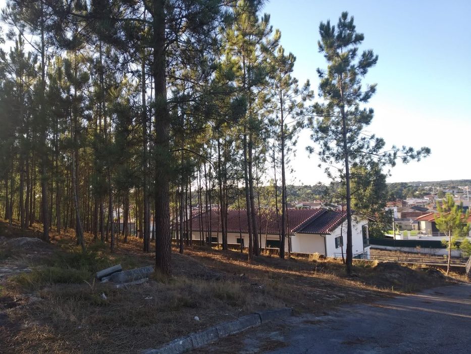 Venda de Terreno para construção aldeia de Barreiros a 7km de Leiria