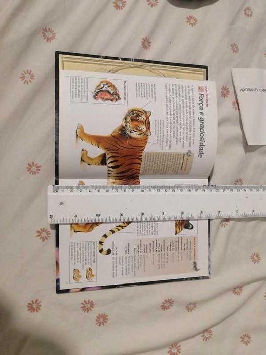 Tigre dos pântanos