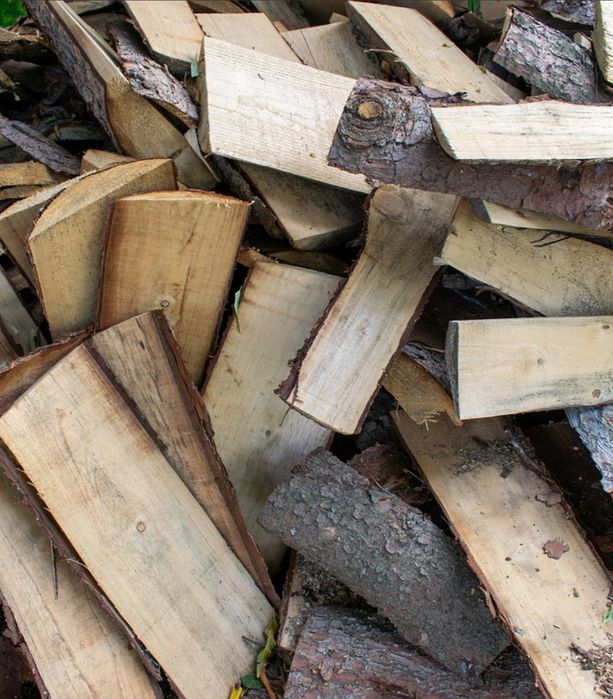 Дрова різних порід