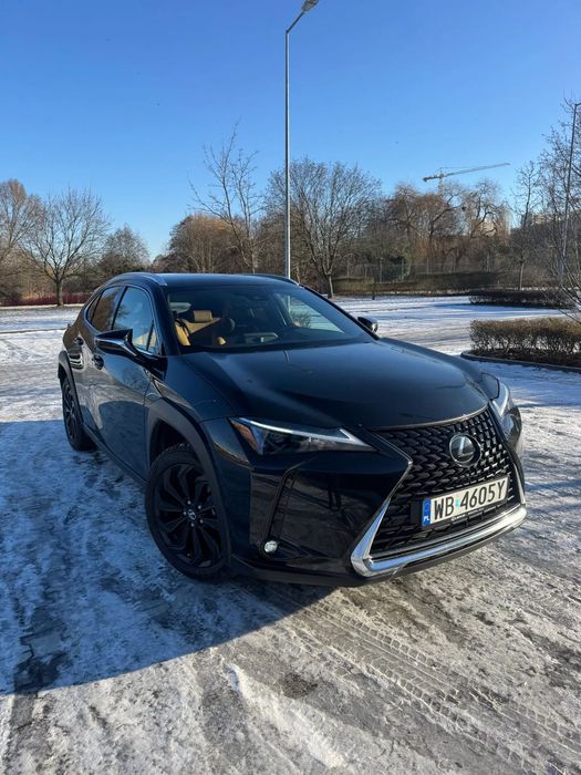 Lexus UX LEXUS UX250h Business