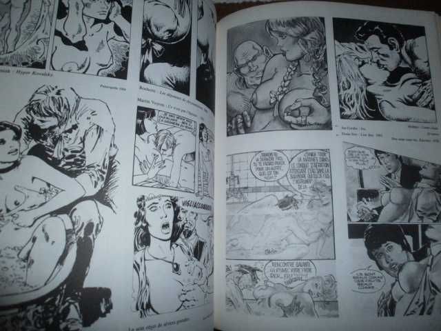 les triomphe de la bande dessinée,1ºed.,1985