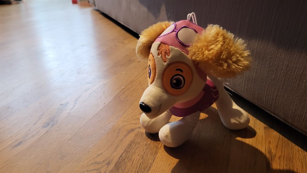 Skay z Psiego patrolu