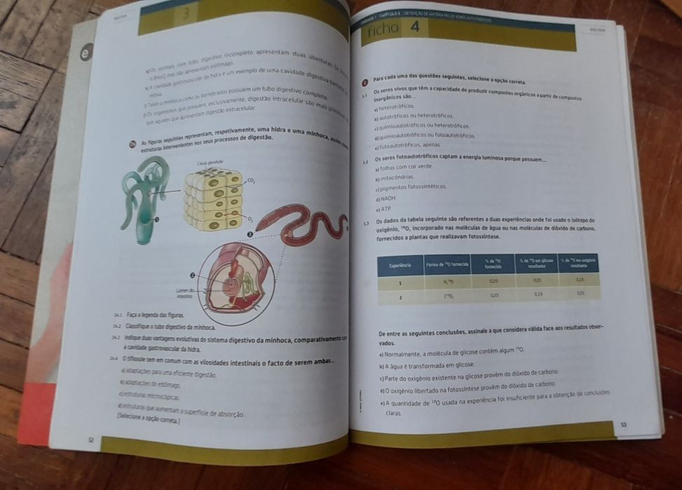 Caderno de atividades Biologia e Geologia 10