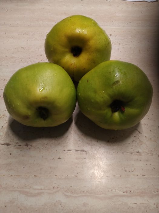 Pigwa owoce ekologiczne..