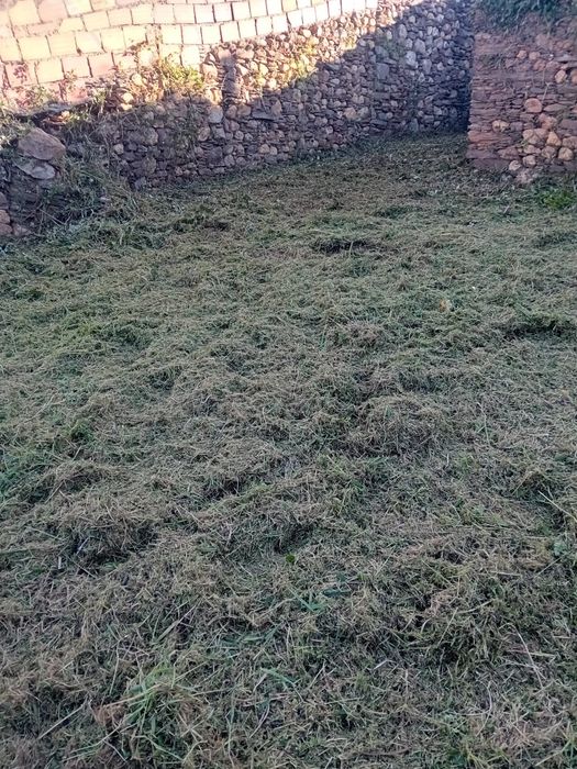 Limpezas de terrenos e podas de árvores