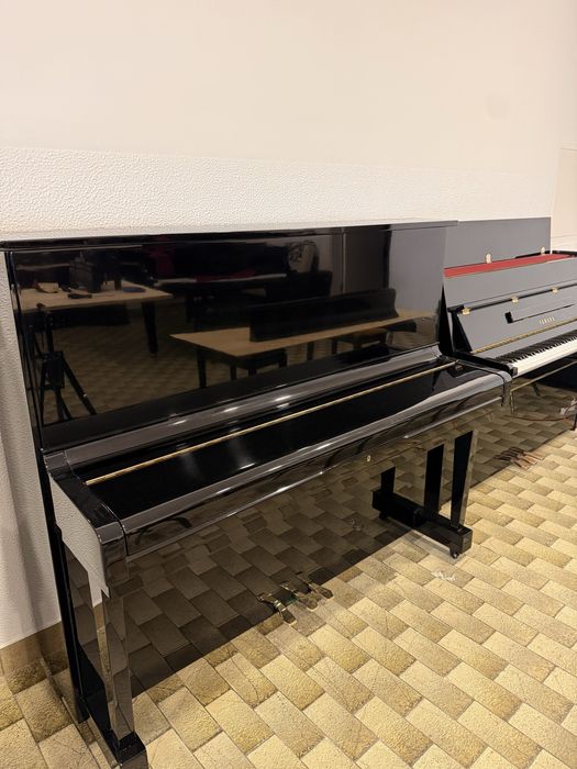 Piano Steinamnn DU-131