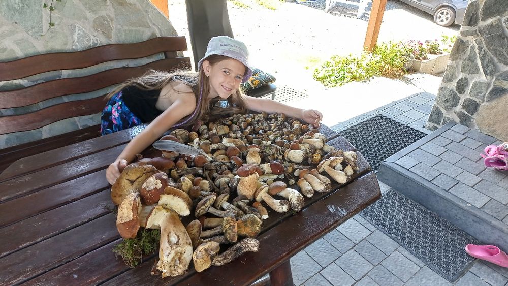 Domek blisko jeziora  Bieszczady Solina  Zawóz