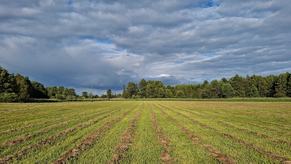 Działka 82a - 8200m2 Mełgiew/Minkowice