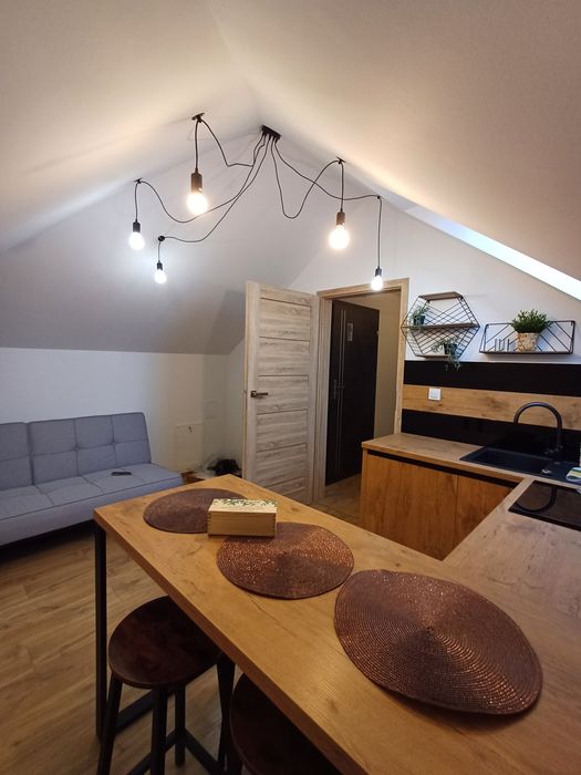 Apartament w górach SAUNA JACUZZI,  ferie, stoki narciarskie