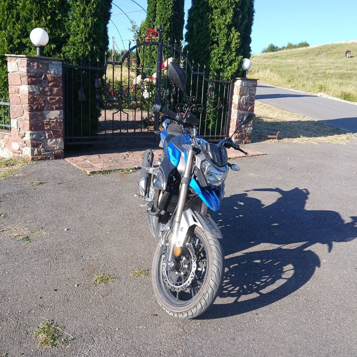 Senke leopard 300