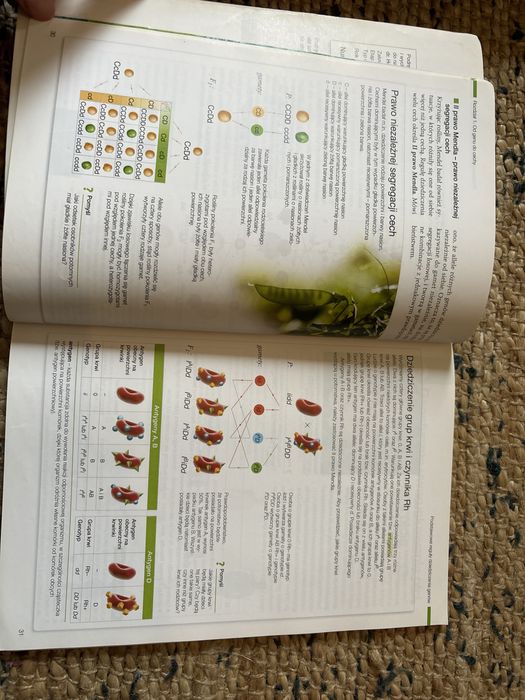 Biologia na czasie zakres podstawowy