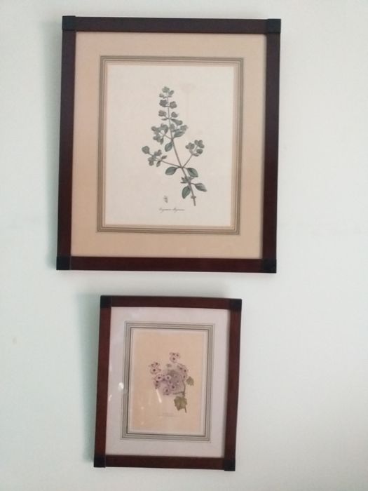 Quadros gravura flores,2preços,madeira,vidroEM MÃOveja zonasDIAS UTEIS