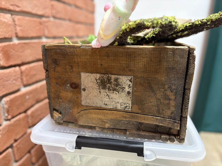 Stara drewniana skrzynka