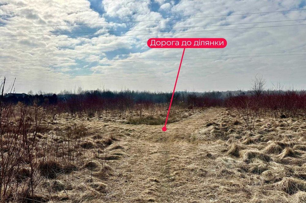 Продаж / Земля сільгосппризначення / Солонка