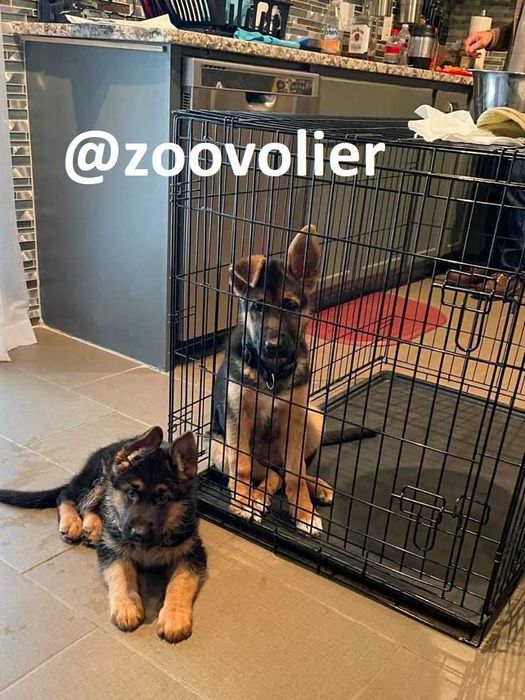 Клетка, клітка, переноска вольер будка, домик для собак или кошек