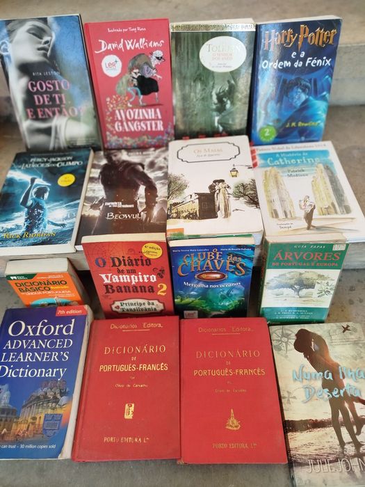 Lote de Livros Variados (Infanto-Juvenil, Dicionários, Enciclopédias e Ficção)