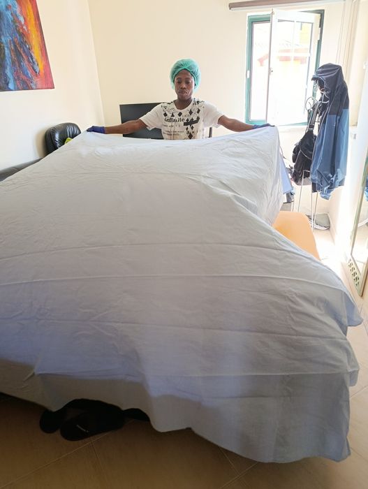 Serviço de Limpeza doméstica Profissional

- Limpeza de residências e