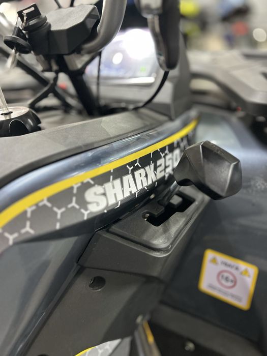Квадроцикл SharX250 Новинка 2025 року, Безкоштовна доставка, Гарантія