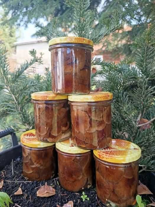 Opieńki opieńka grzyby marynowane