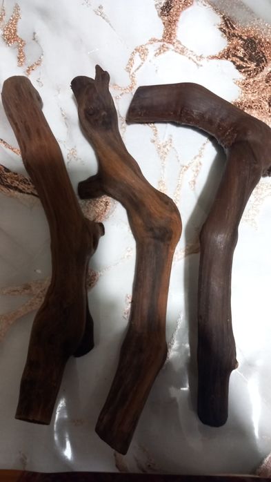 Продам рыбок собственного разведения.