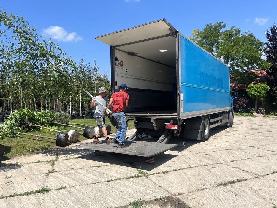 Usługi transportowe, Przewoźnik (18 ep, 8 ton) winda, transport,F-vat