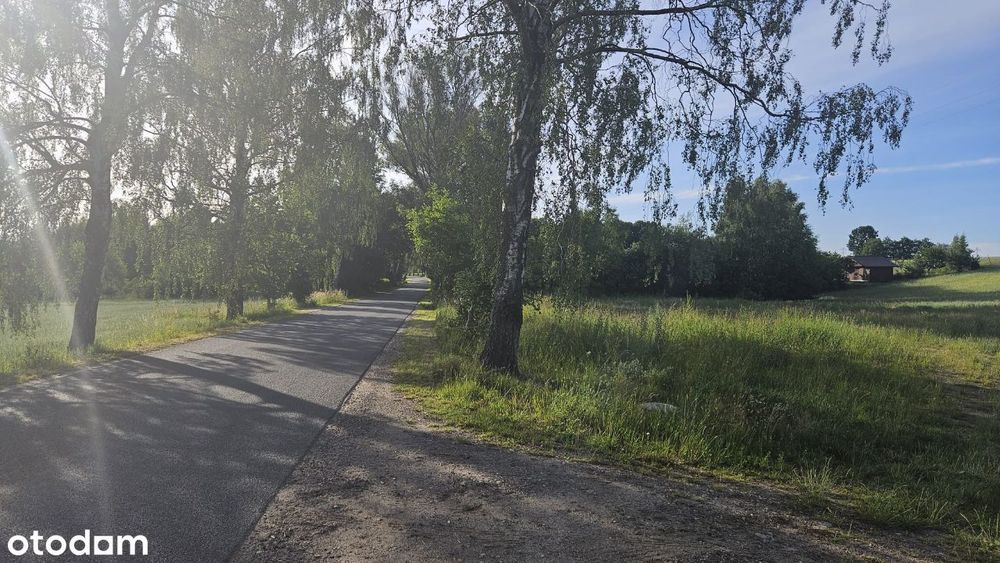 Działki budowlane blisko jeziora Dobrogoszcz - Więcej