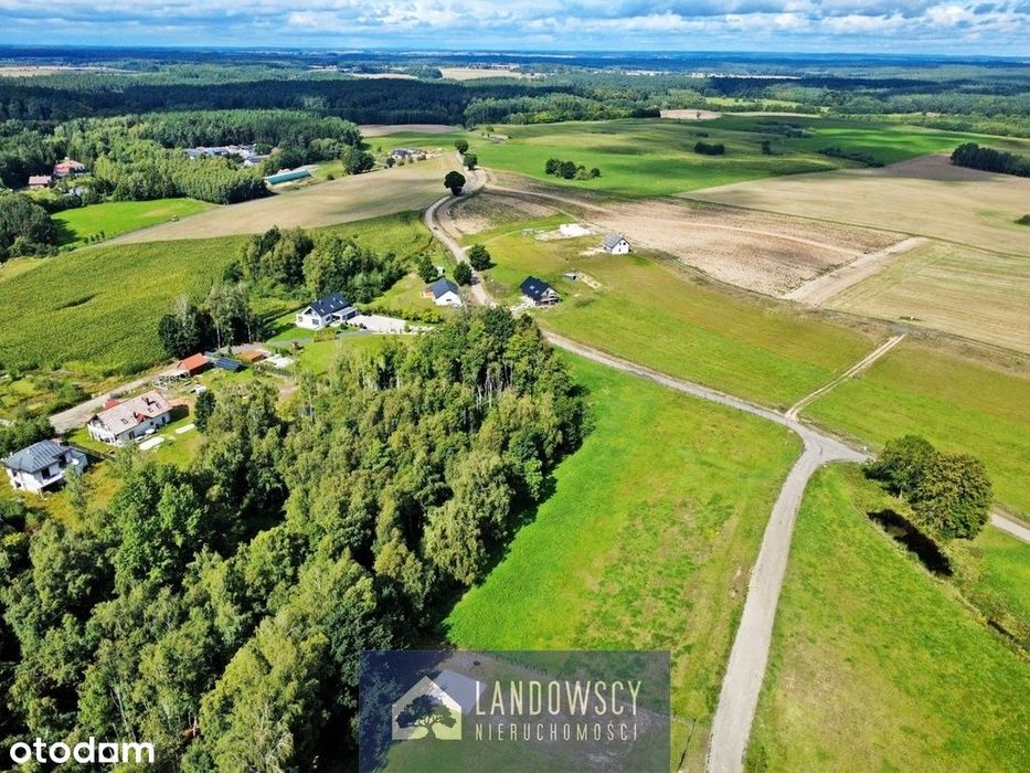 Zapewnij sobie wyjście z ogrodu do własnego lasu