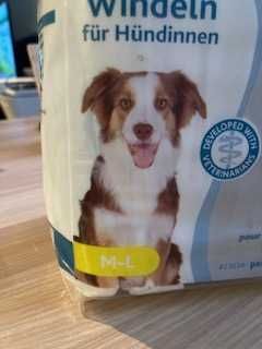 Diapers for dogs. Fraldas para caes.