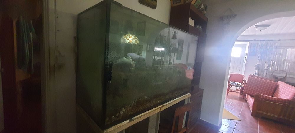 Aquários vários tamanhos 50 €