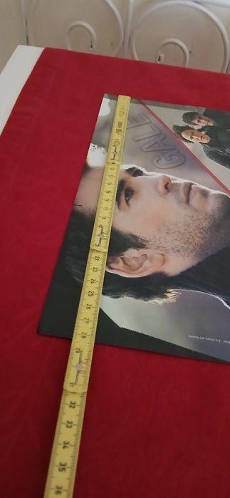 Poster Sinsajo - Katniss e Gale, novo