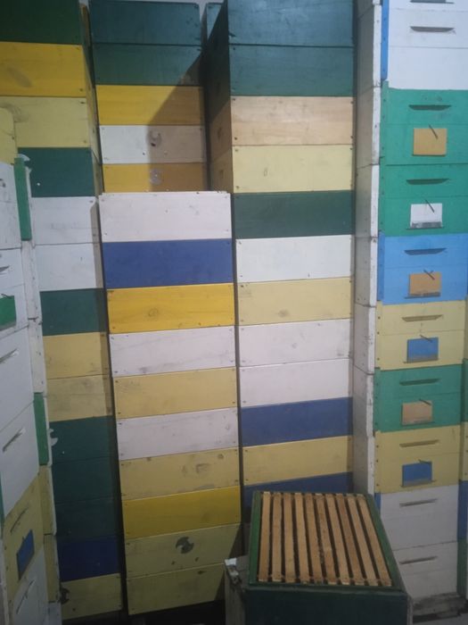 Продам 50 вуликів з рамками